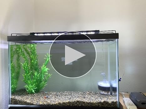 Amazon.com : Aquapapa Corner Filter Bio Sponge Ceramic Air